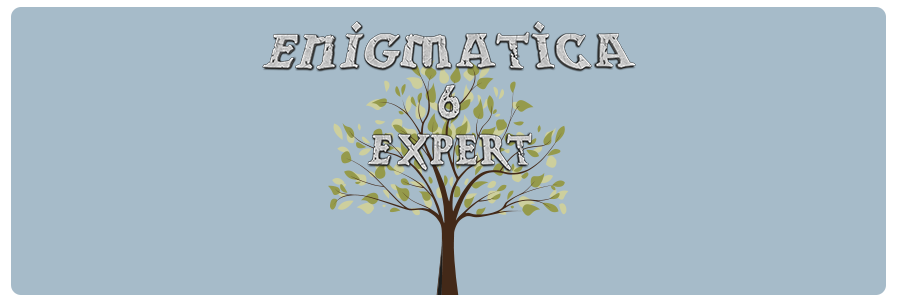 Enigmatica 6: Expert